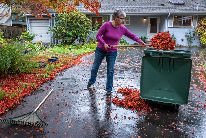Efficient Leaf Disposal