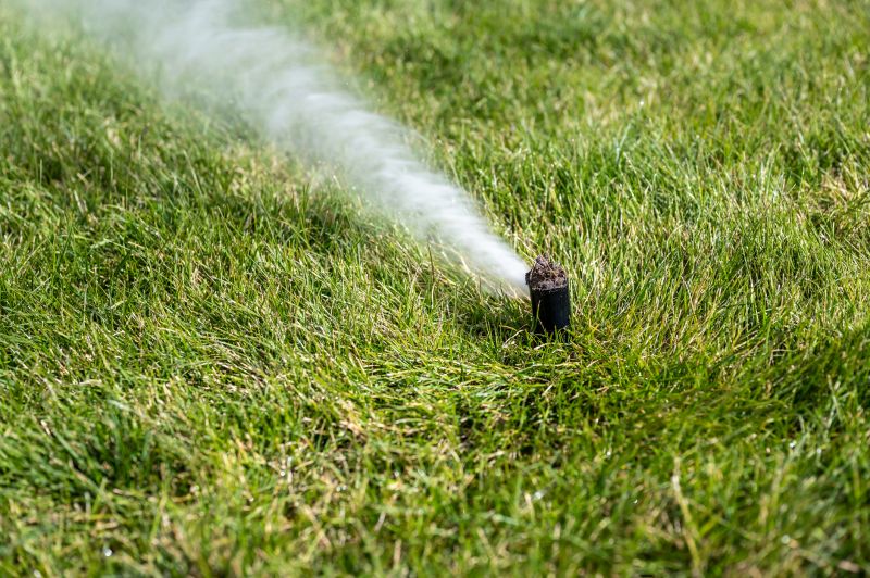Wide sprinkler system during winter
