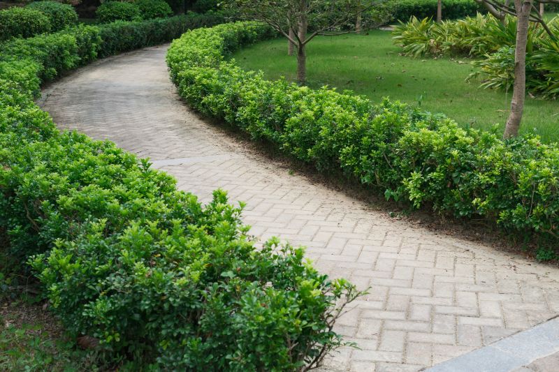 Walkway with Paver Borders