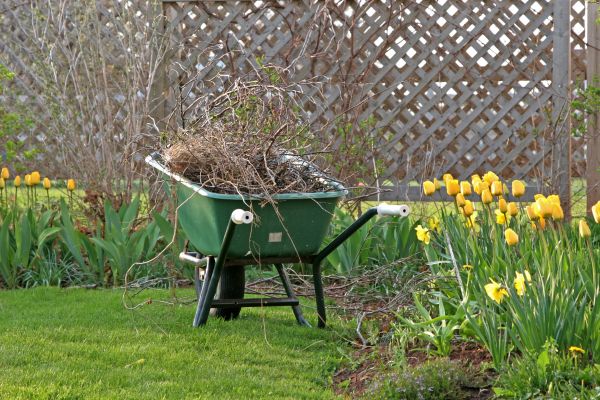Flower Bed Cleanup Service in Brandon