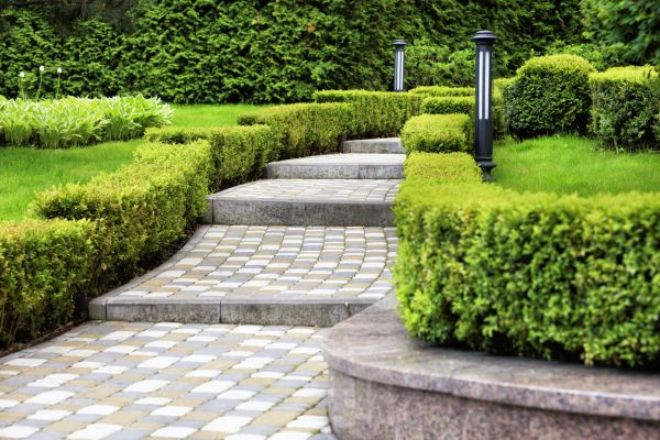 Backyard Remodeling in Brandon