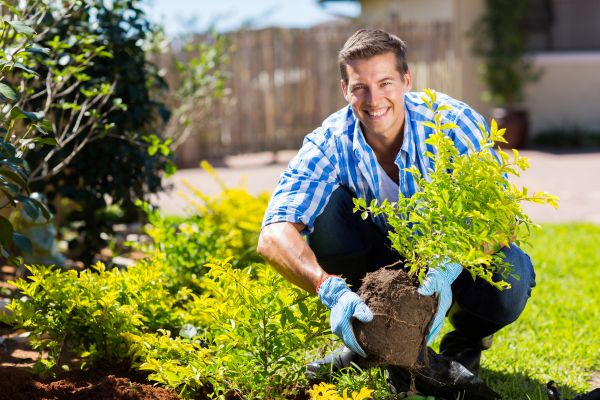 Bush Planting Service in Brandon