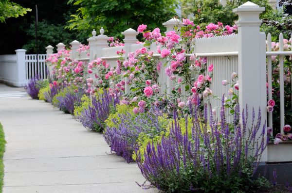 Garden Handyman Service in Brandon