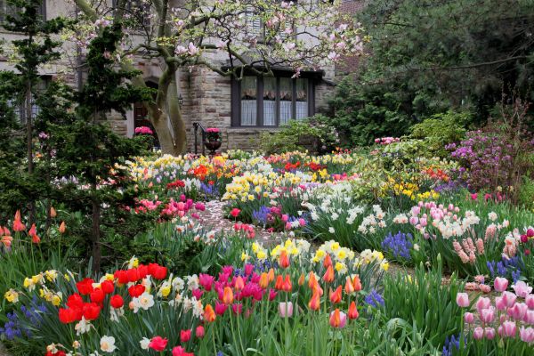 Garden Maintenance Service in Brandon