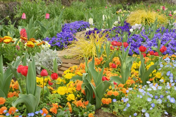 Garden Renovation in Brandon