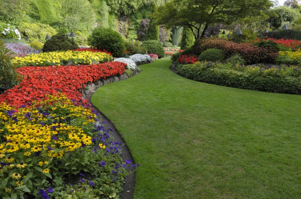 Landscaping Maintenance in Brandon