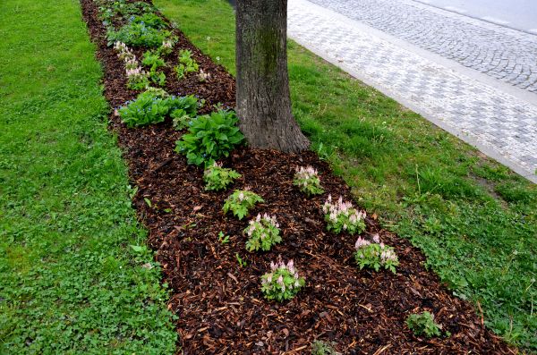 Mulch Replacement Service in Brandon