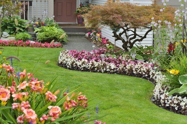 Perennial Landscaping in Brandon