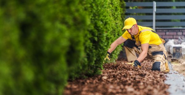 Cypress Mulch Installation in Brandon