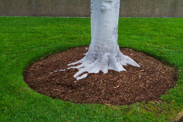 Brown Mulch Installation in Brandon