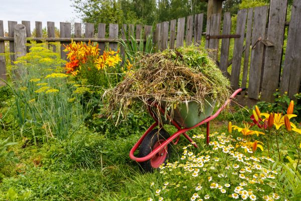 Garden Cleanup Service in Brandon