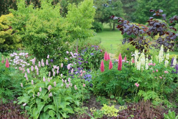 Flower Bed Planting in Brandon