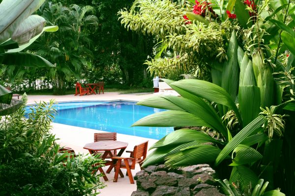 Tropical Garden Landscaping in Brandon