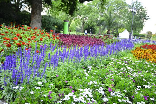 Perennials Planting in Brandon