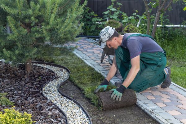 Landscaping Modification in Brandon