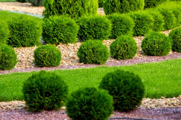 Bush Installation in Brandon