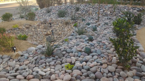 Yard Xeriscaping in Brandon