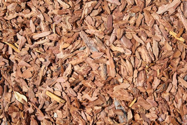 Pine Mulch Delivery in Brandon
