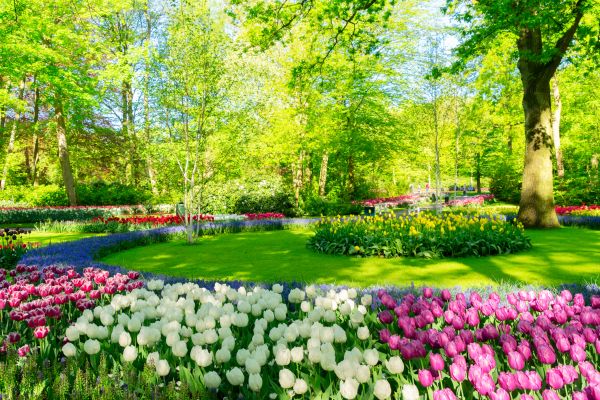 Flower Landscaping in Brandon