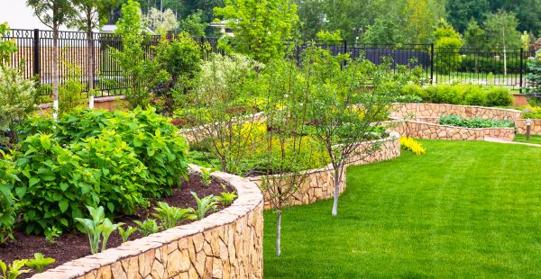 Yard Makeover Service in Brandon