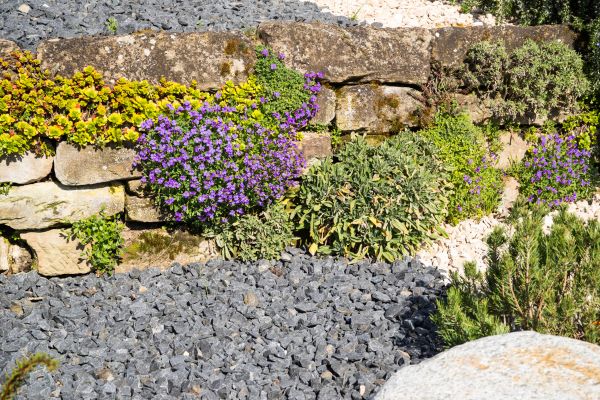 Landscaping Rocks Installation in Brandon
