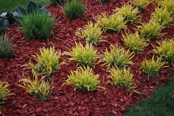 Red Mulch Installation in Brandon