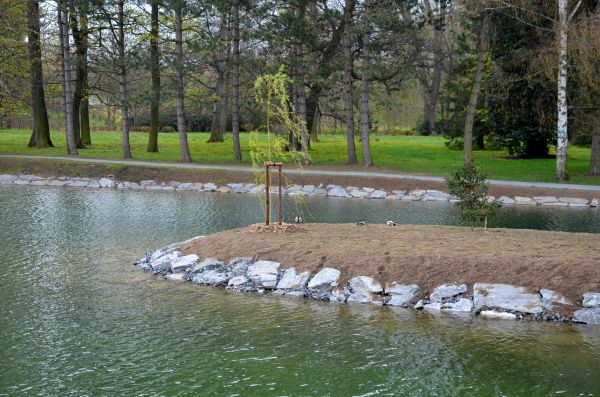 Pond Landscaping Service in Brandon
