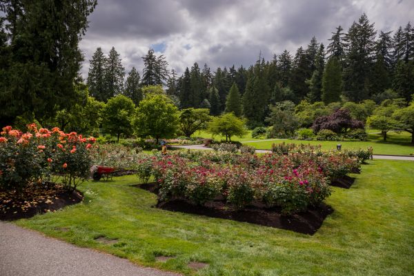 Flower Garden Landscaping in Brandon