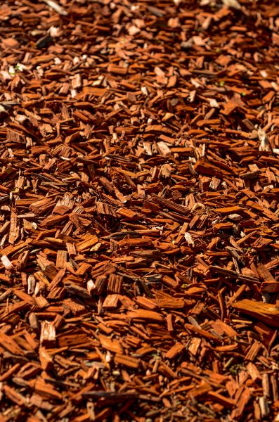 Cedar Mulch Spreading in Brandon